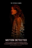 Постер Обнаружено движение (Motion Detected)