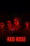 Постер Красная роза (Red Rose)