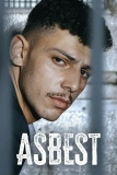 Постер Асбест (Asbest)