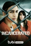 Постер В заключении (Incarcerated)