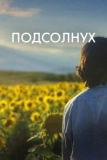 Постер Подсолнух (Sunflower)