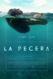 Постер Аквариум (La Pecera)