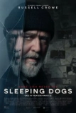 Постер Спящие псы (Sleeping Dogs)