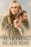 Постер Миндаль и морской конек (The Almond and the Seahorse)