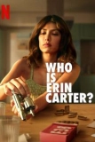 Постер Кто такая Эрин Картер? (Palomino)
