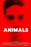 Постер Животные (Animals)