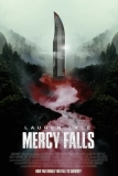 Постер Водопад милосердия (Mercy Falls)