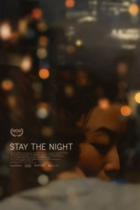 Постер Роман на одну ночь (Stay the Night)