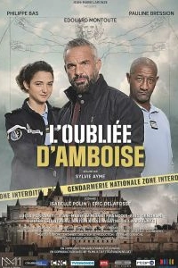 Постер Убийства в Амбуазе (L'oubliée d'Amboise)