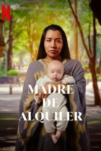 Постер Суррогатная мать (Madre de alquiler)