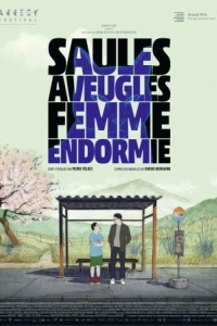 Постер Слепая ива, спящая женщина (Saules aveugles, femme endormie)
